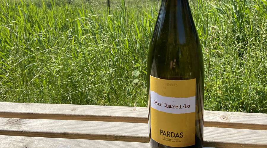 Eine Flasche Naturwein vom spanischen Weingut Pardas.